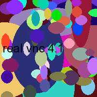 real vnc 4.1